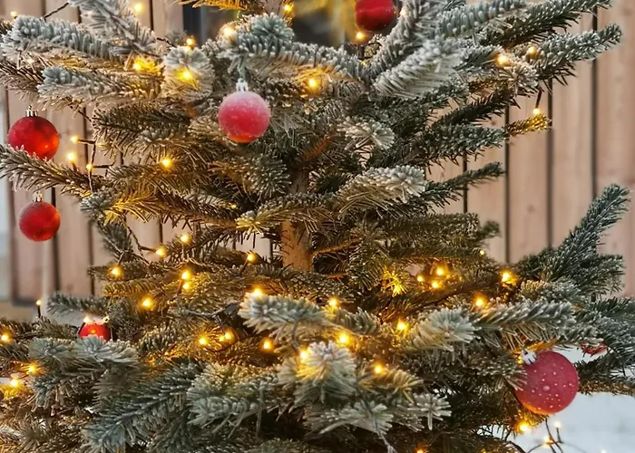Moderne Ferienwohnungen mit Designbad