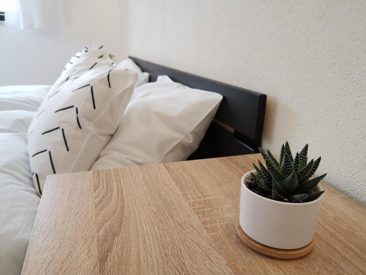 Moderne Mit Designbad * Petting